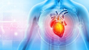cardiovascular-diseases