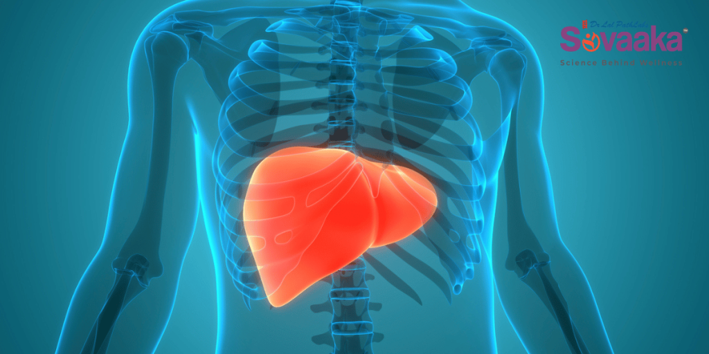fatty-liver